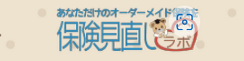 �ی��̌������E�����ɂ����̃v���������u�ی����������{�v���T�C�g